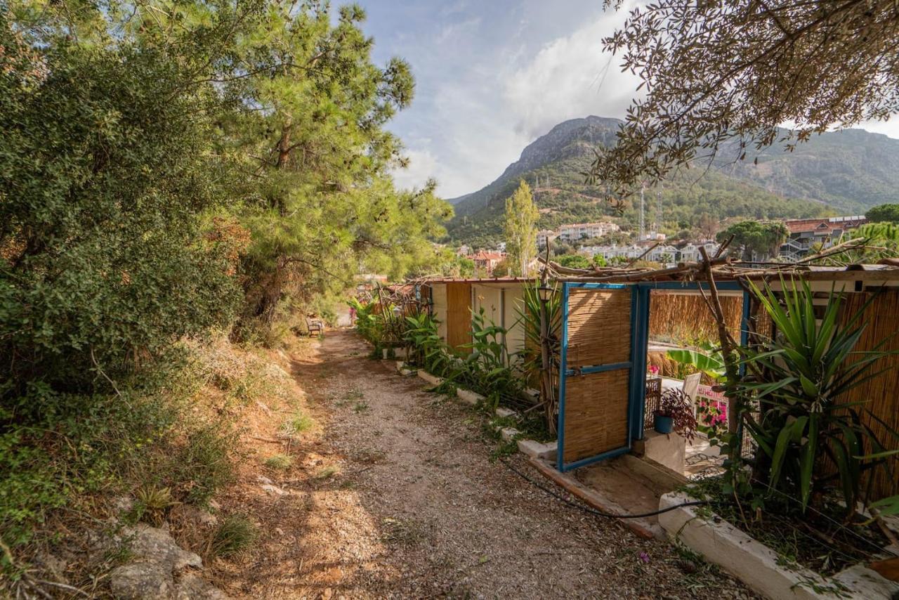 Apart Otel Begonvilla Bungalows *