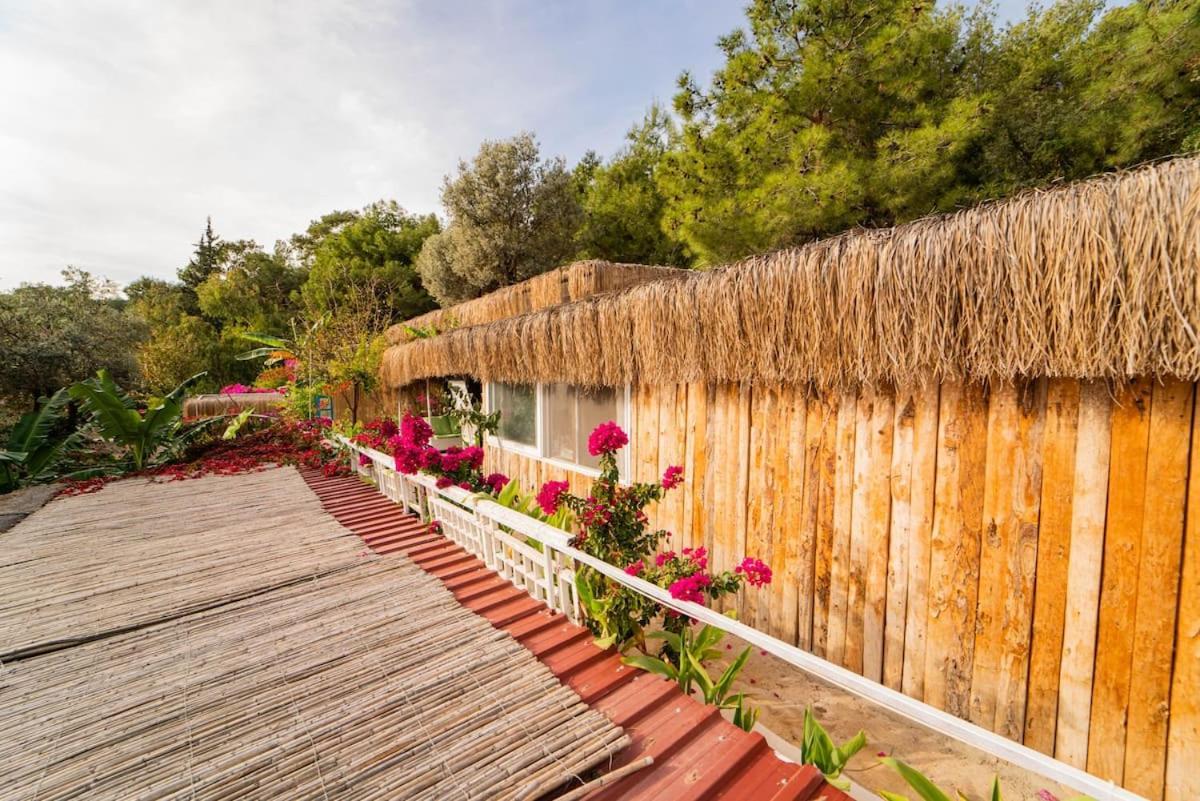 Begonvilla Bungalows Apart Otel